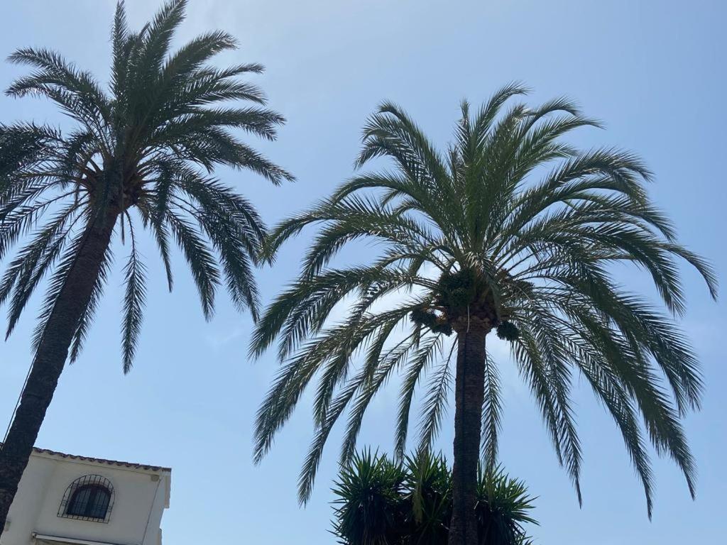 Apartamento Urb Oasis Park II Denia, Las Marinas Luaran gambar